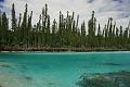 Oro-ile des pins